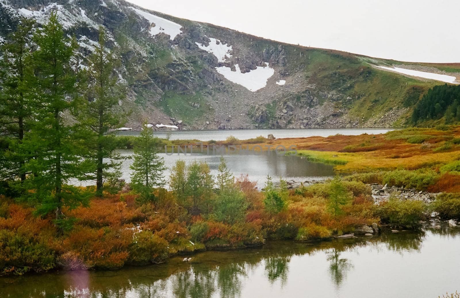 The river is among the mountains and forests of the Altai. Nature of the Altai