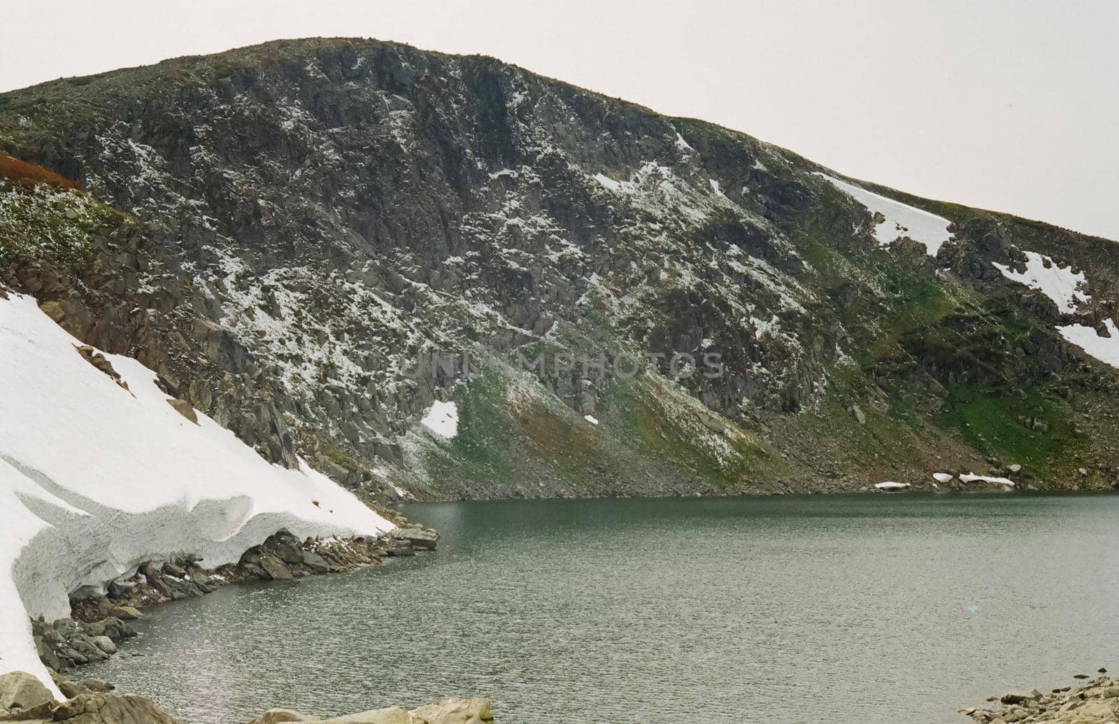 The river is among the mountains and forests of the Altai. Nature of the Altai