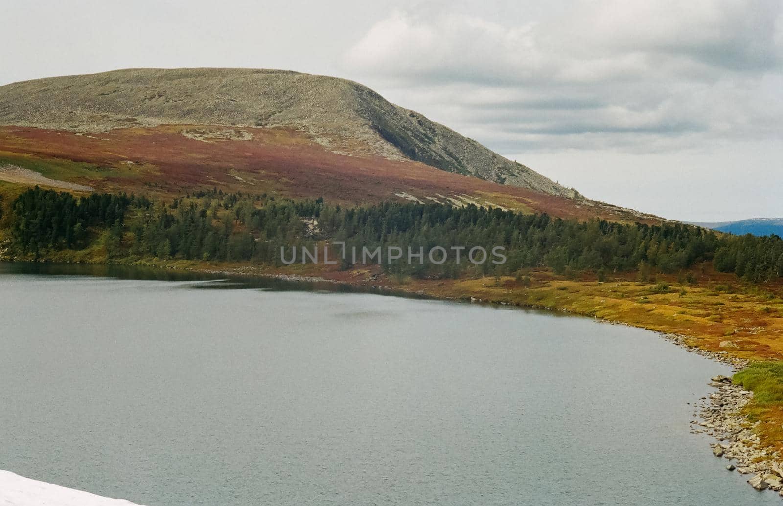 The river is among the mountains and forests of the Altai. Nature of the Altai