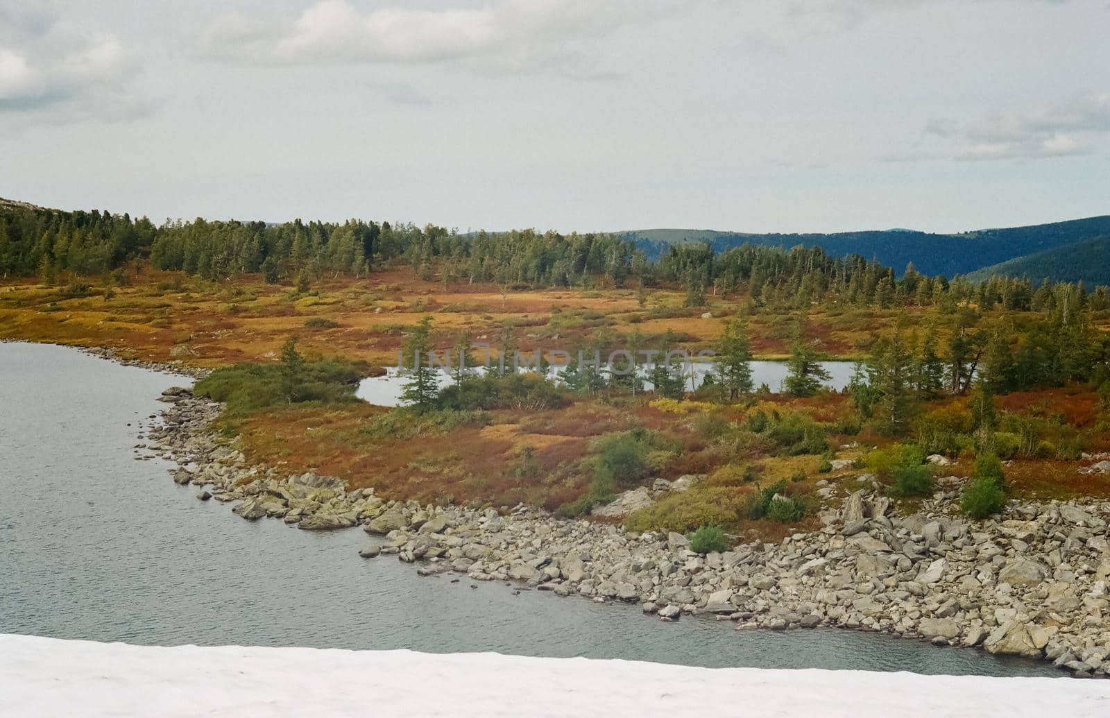 The river is among the mountains and forests of the Altai. Nature of the Altai