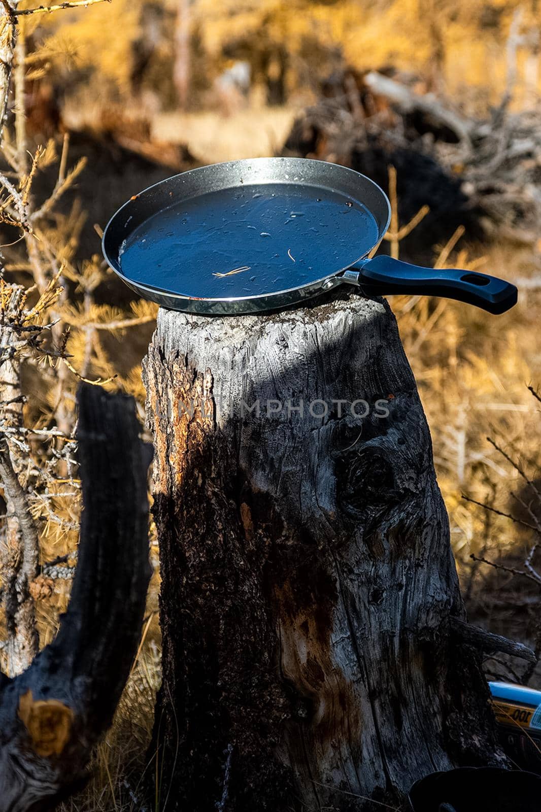 frying pan on a stump. Food tourists in nature. by DePo