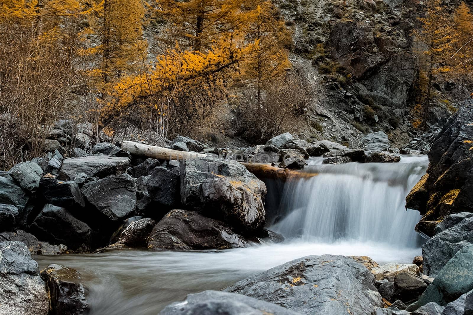 mountain river flows over the rocks. The rivers are altai. Nature is altai. by DePo