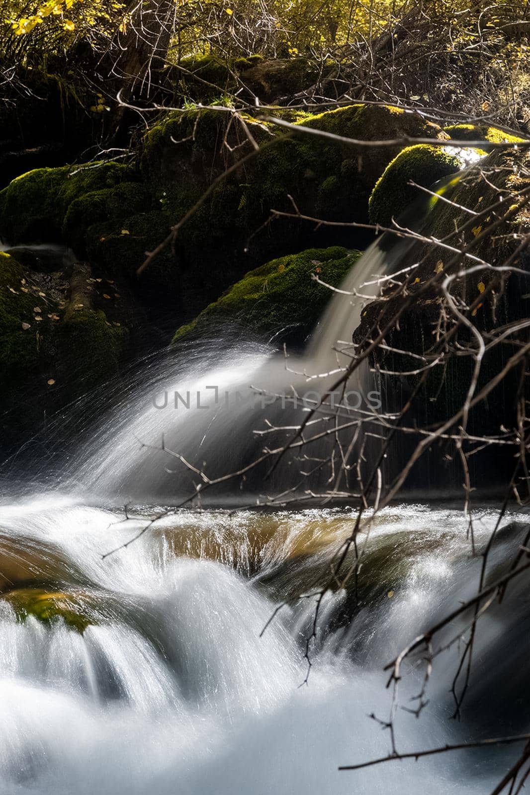 small waterfall on a mountain river in the Altai. The Altai Mountain Rivers. by DePo