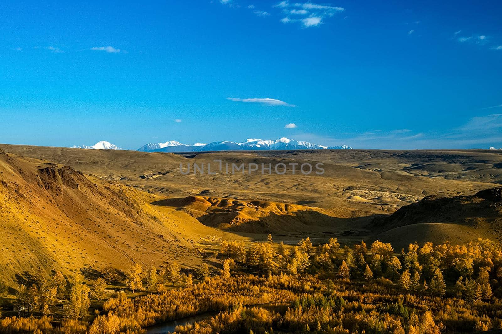 The altai mountains. landscape of nature on the Altai mountains and in the gorges between the mountains. by DePo