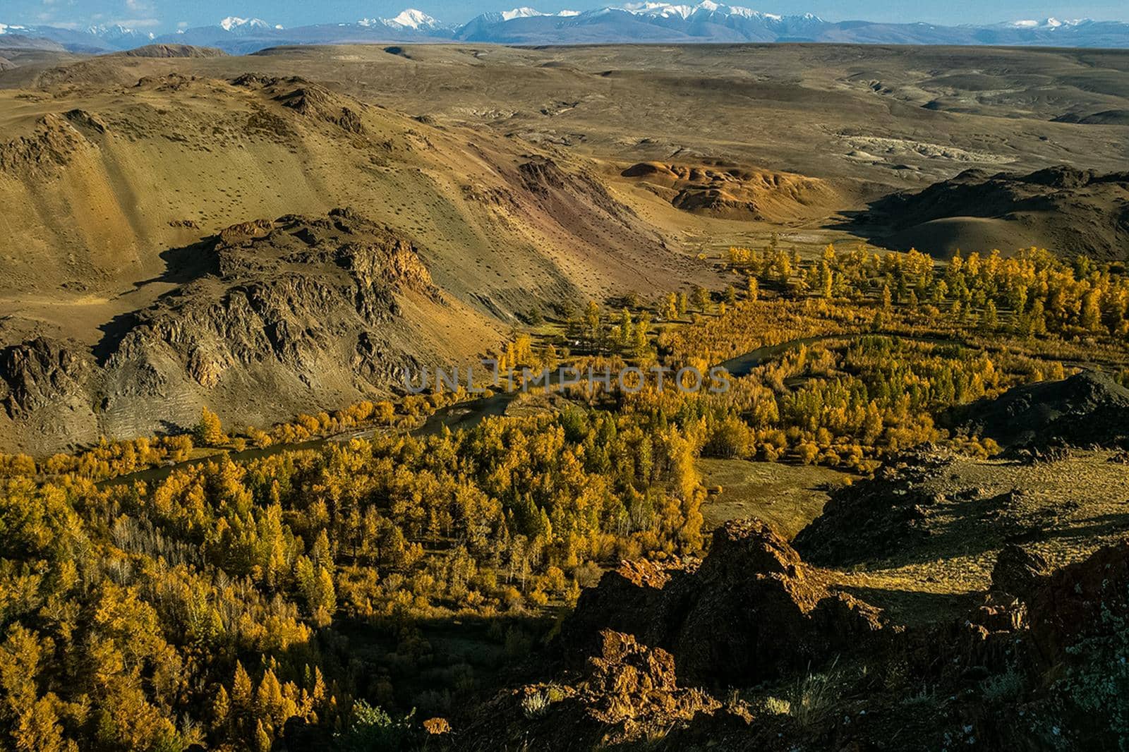 The altai mountains. The landscape of nature on the Altai mountains and in the gorges between the mountains.