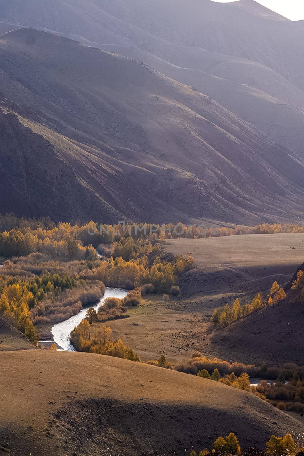 The altai mountains. landscape of nature on the Altai mountains and in the gorges between the mountains. by DePo