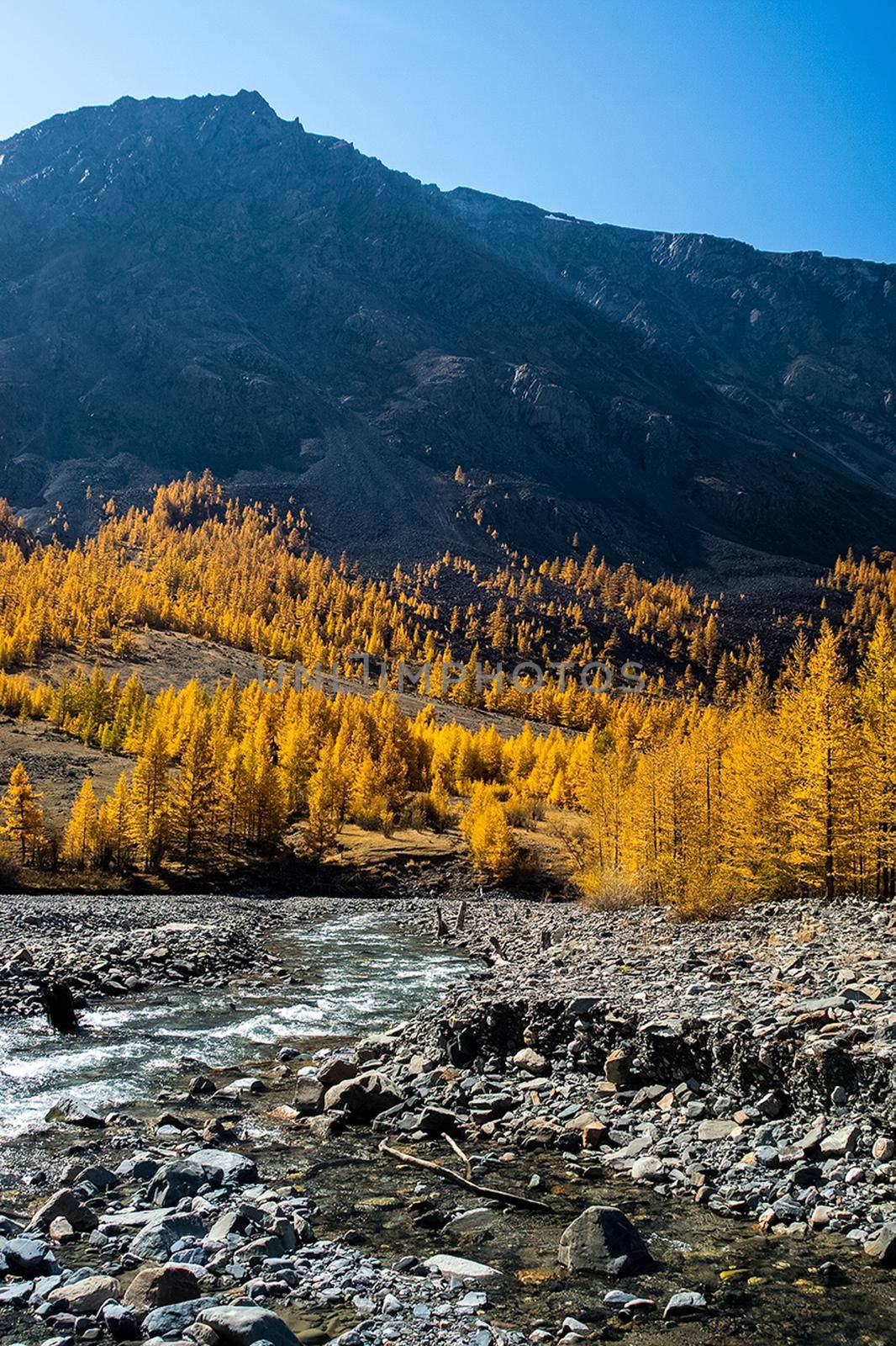 The altai mountains. The landscape of nature on the Altai mountains and in the gorges between the mountains.