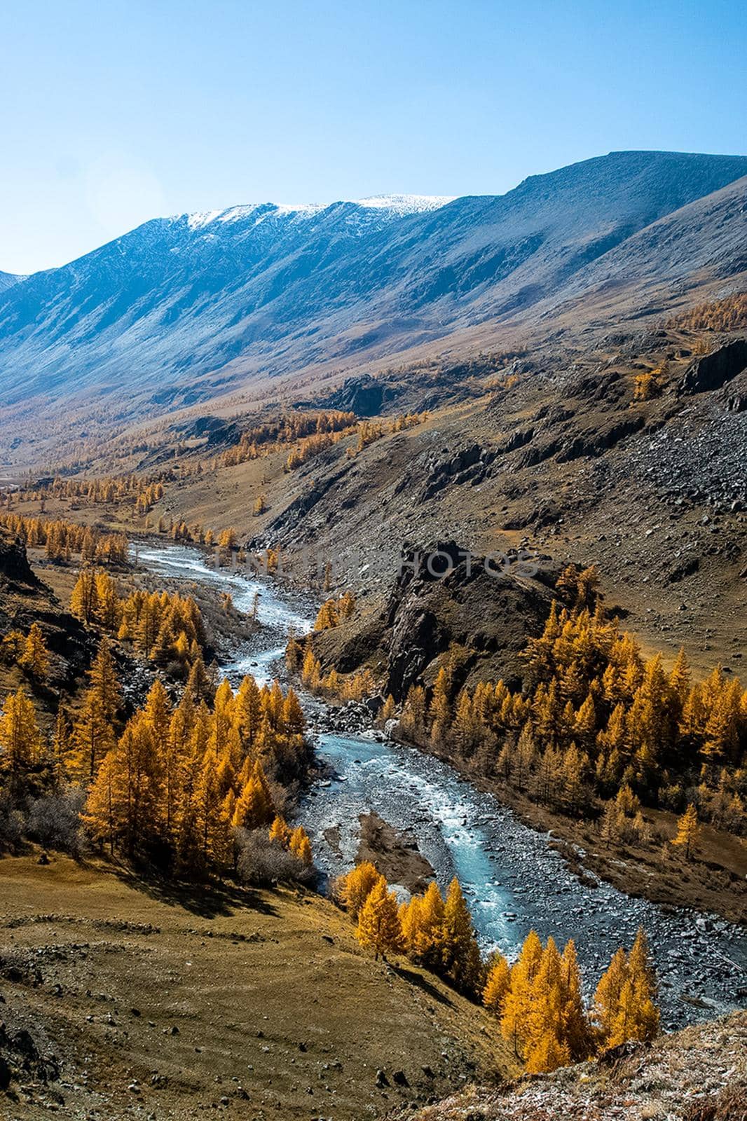 The altai mountains. landscape of nature on the Altai mountains and in the gorges between the mountains. by DePo