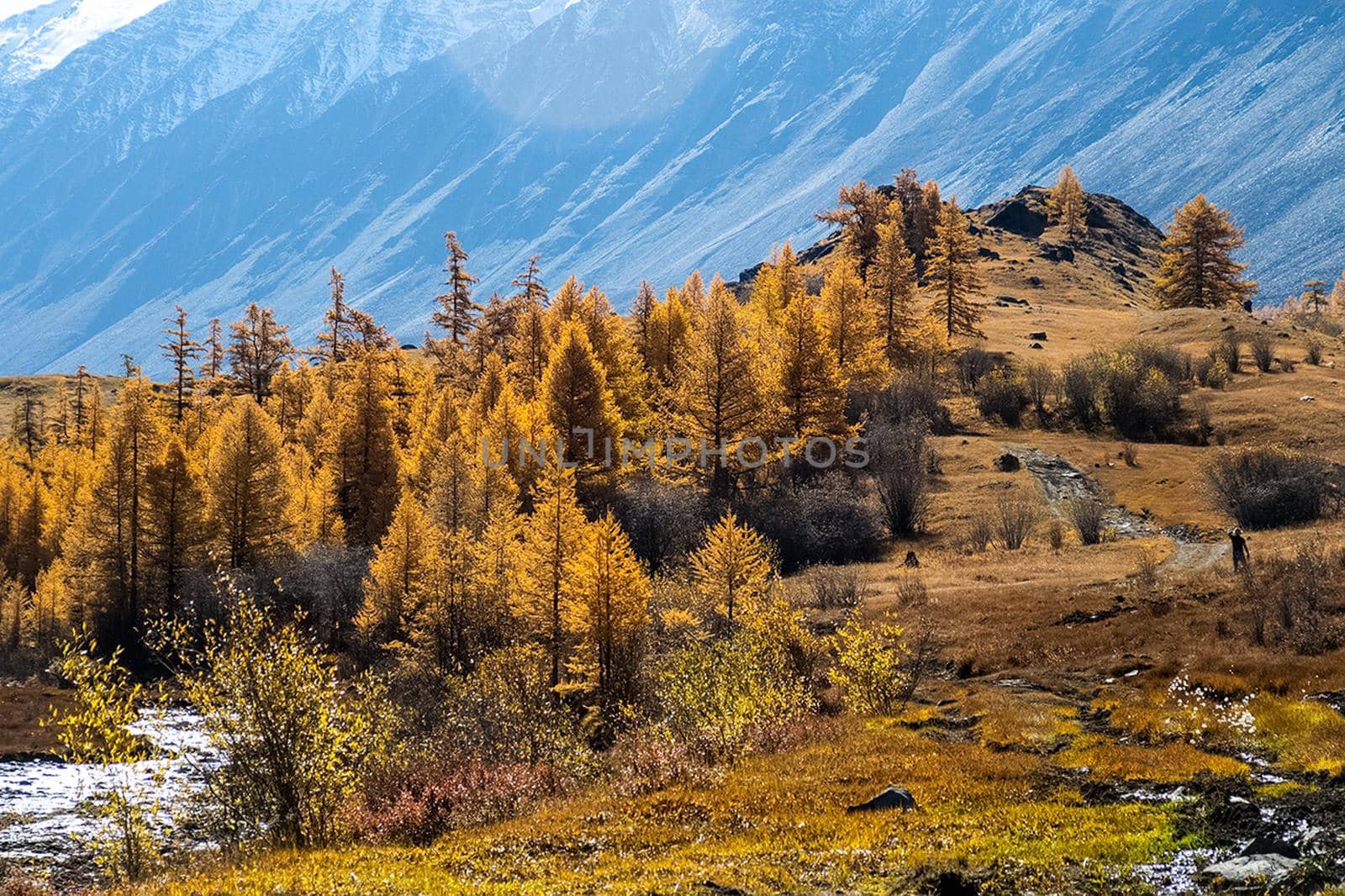 The altai mountains. The landscape of nature on the Altai mountains and in the gorges between the mountains.