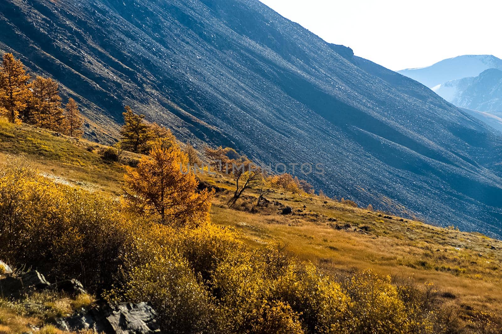 The altai mountains. The landscape of nature on the Altai mountains and in the gorges between the mountains.