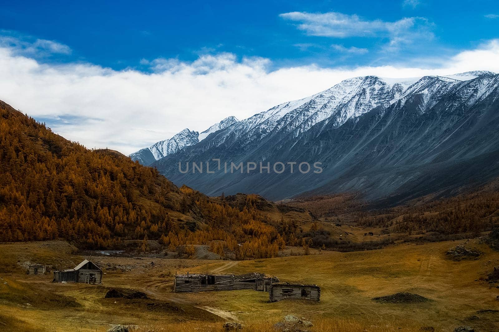 The altai mountains. landscape of nature on the Altai mountains and in the gorges between the mountains. by DePo