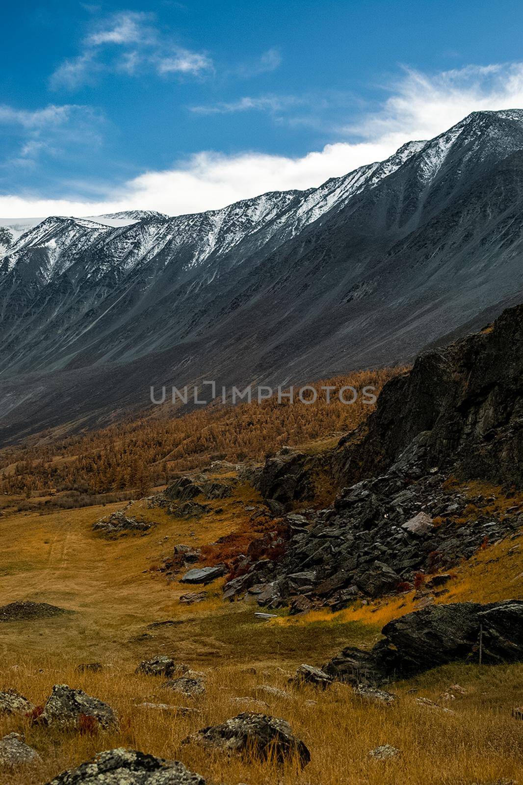 The altai mountains. The landscape of nature on the Altai mountains and in the gorges between the mountains.