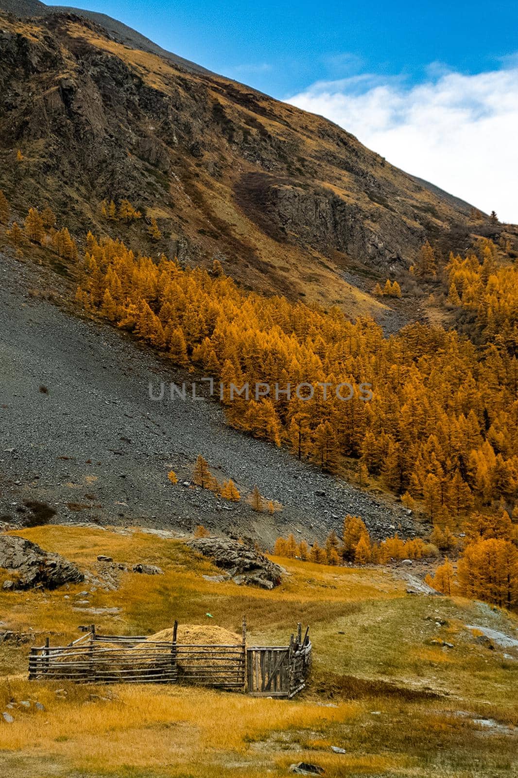 The altai mountains. The landscape of nature on the Altai mountains and in the gorges between the mountains.