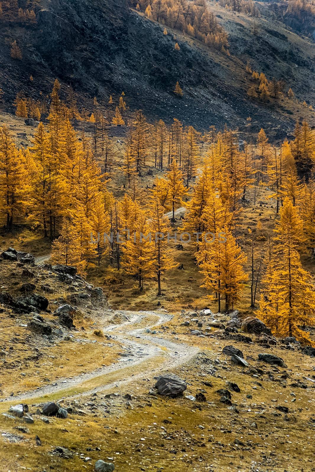 The altai mountains. landscape of nature on the Altai mountains and in the gorges between the mountains. by DePo