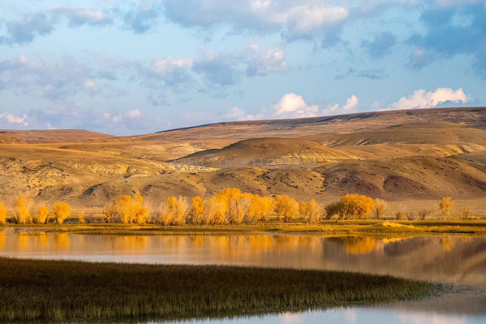 The altai mountains. The landscape of nature on the Altai mountains and in the gorges between the mountains.