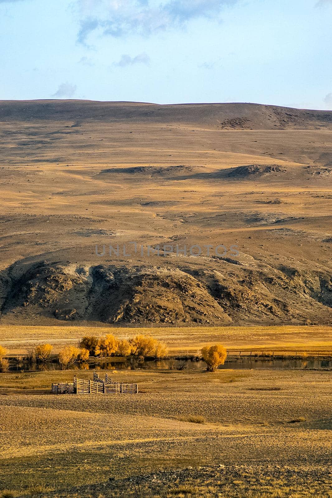 The altai mountains. The landscape of nature on the Altai mountains and in the gorges between the mountains.