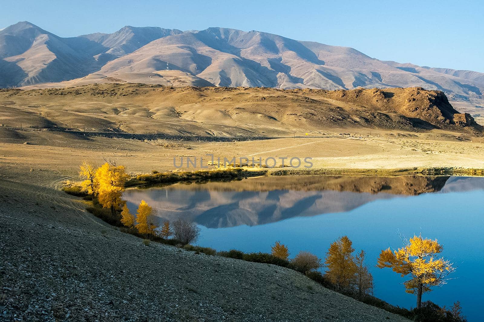 The altai mountains. landscape of nature on the Altai mountains and in the gorges between the mountains. by DePo