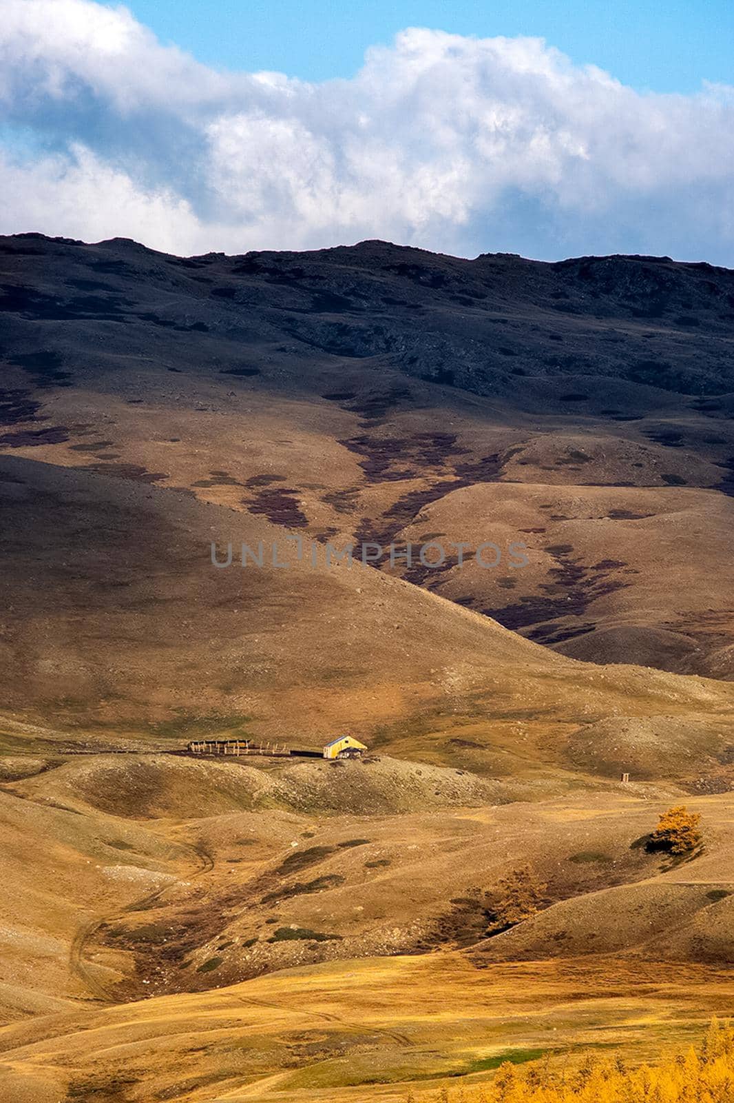 The altai mountains. The landscape of nature on the Altai mountains and in the gorges between the mountains.