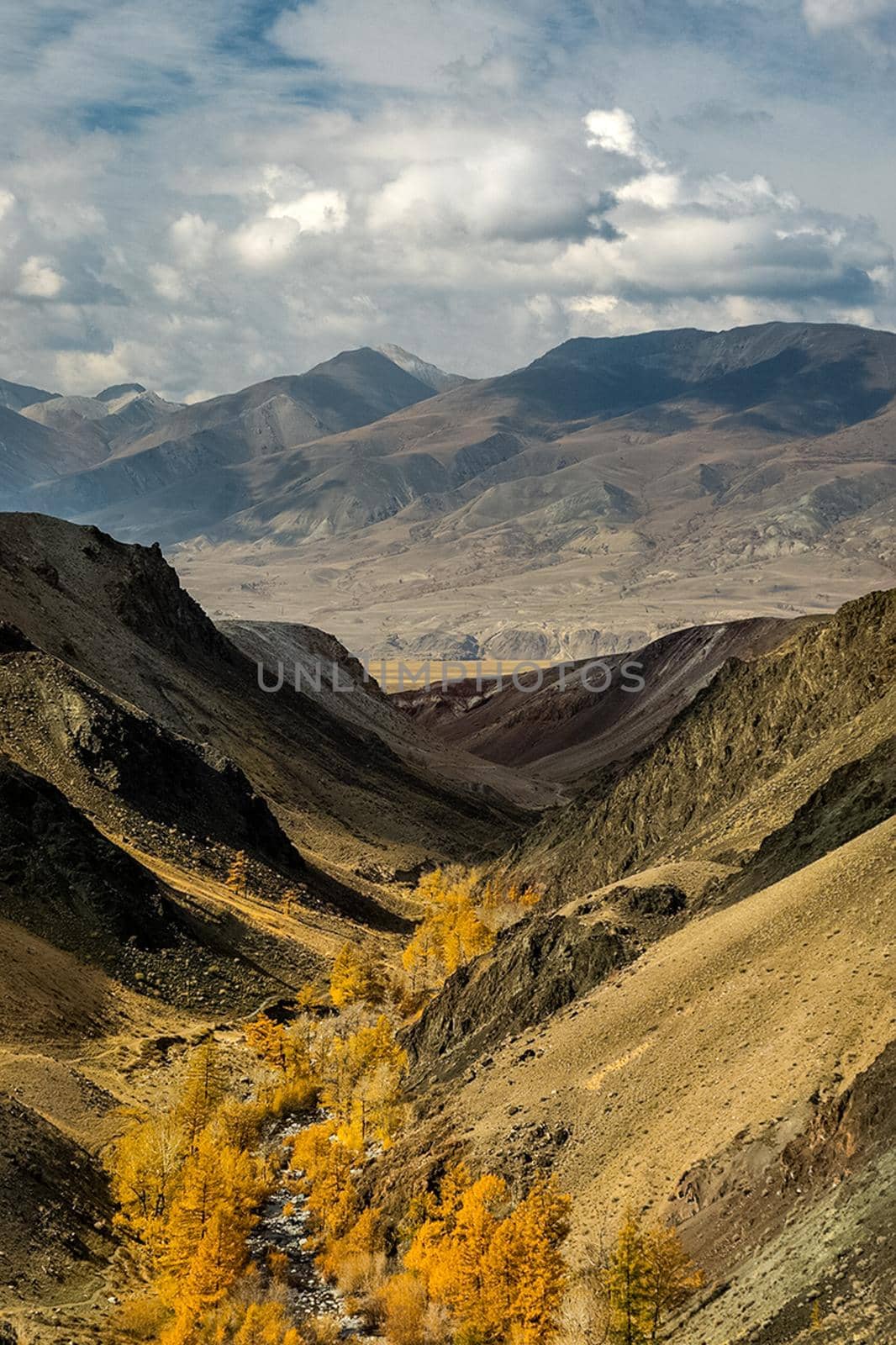 The altai mountains. landscape of nature on the Altai mountains and in the gorges between the mountains. by DePo