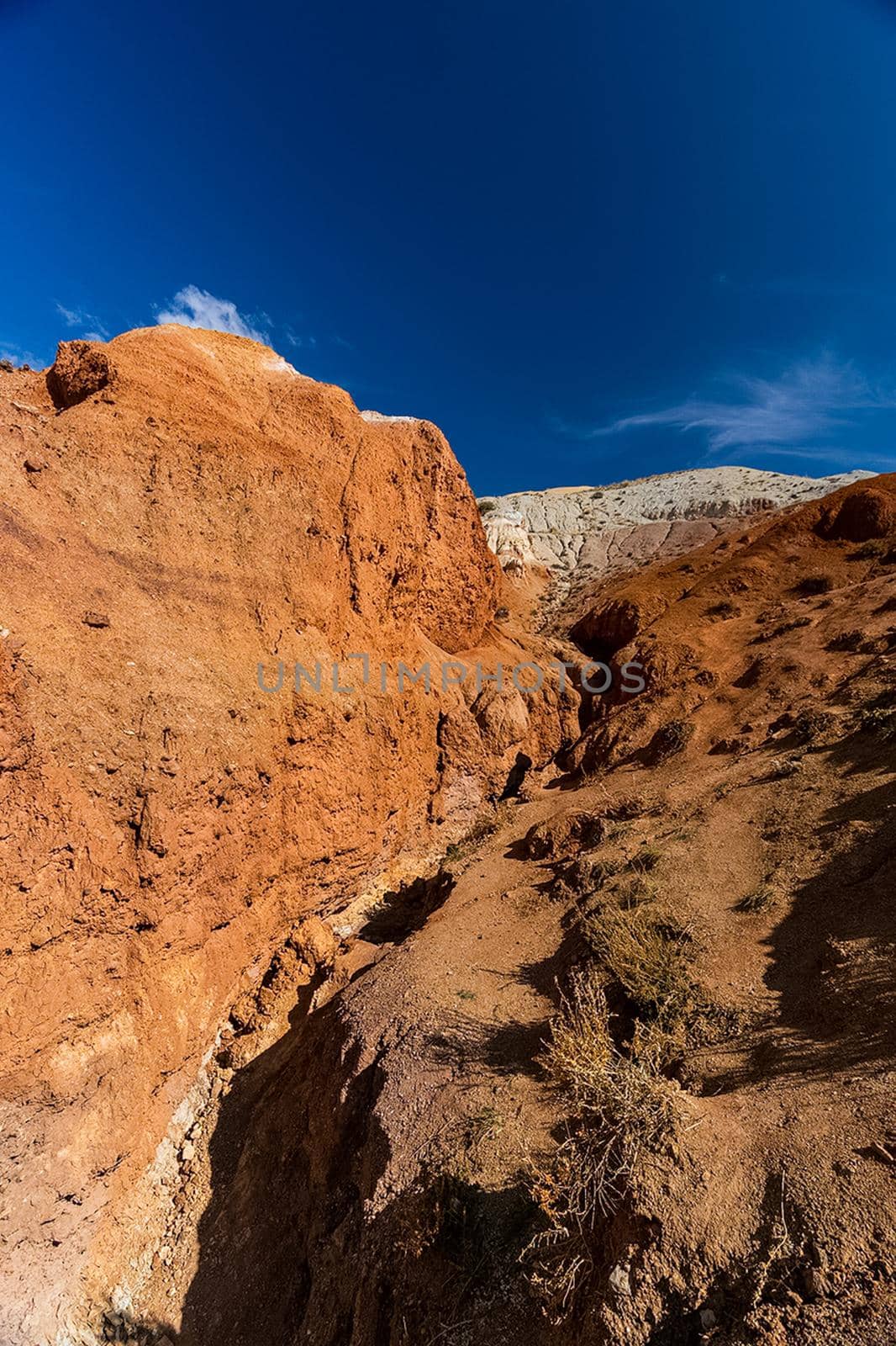 The altai mountains. The landscape of nature on the Altai mountains and in the gorges between the mountains.