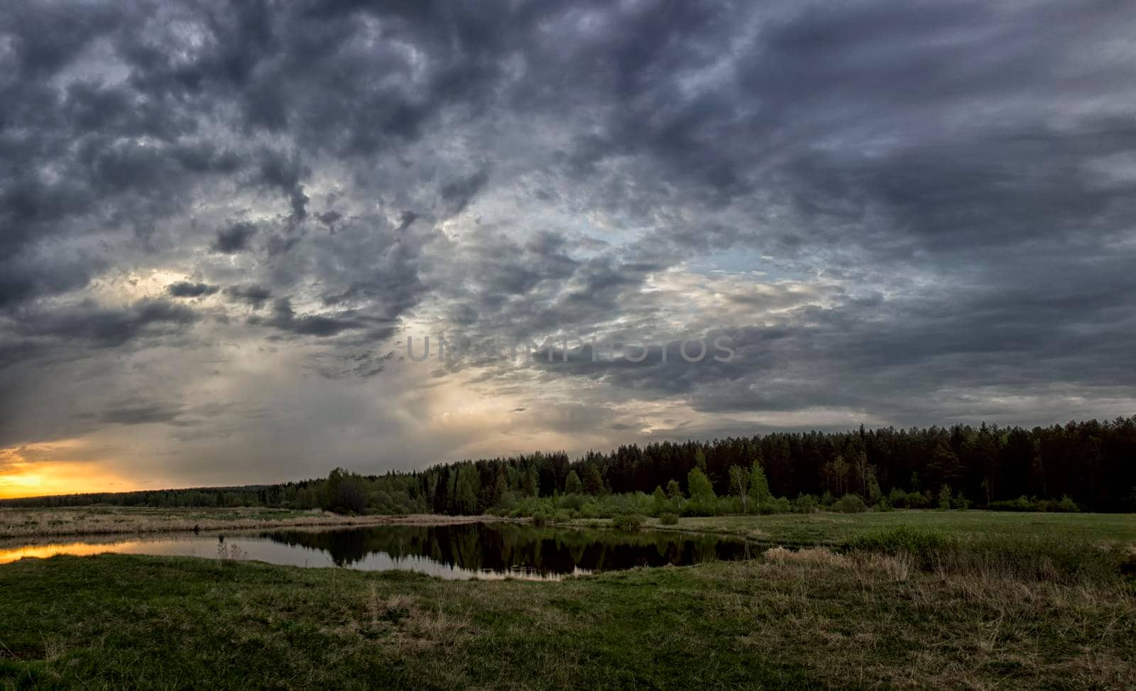 Lake at sunset, coastal grass and trees. The light of the sunset above the water.