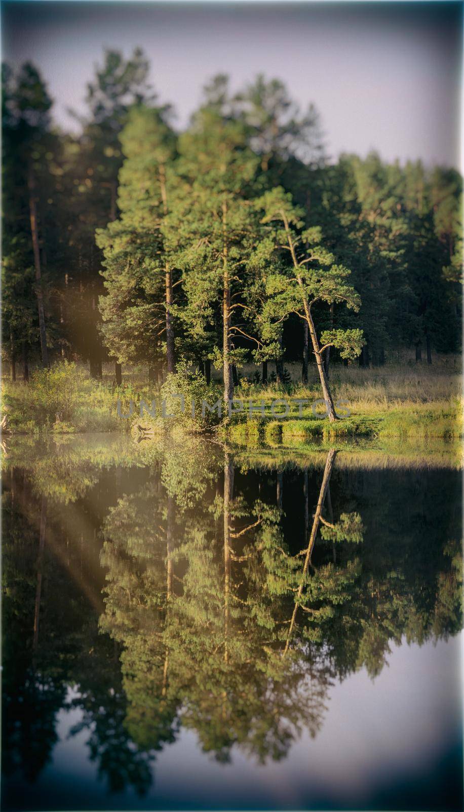 Lakes in autumn forest. Forest autumn landscape, beautiful natur by DePo