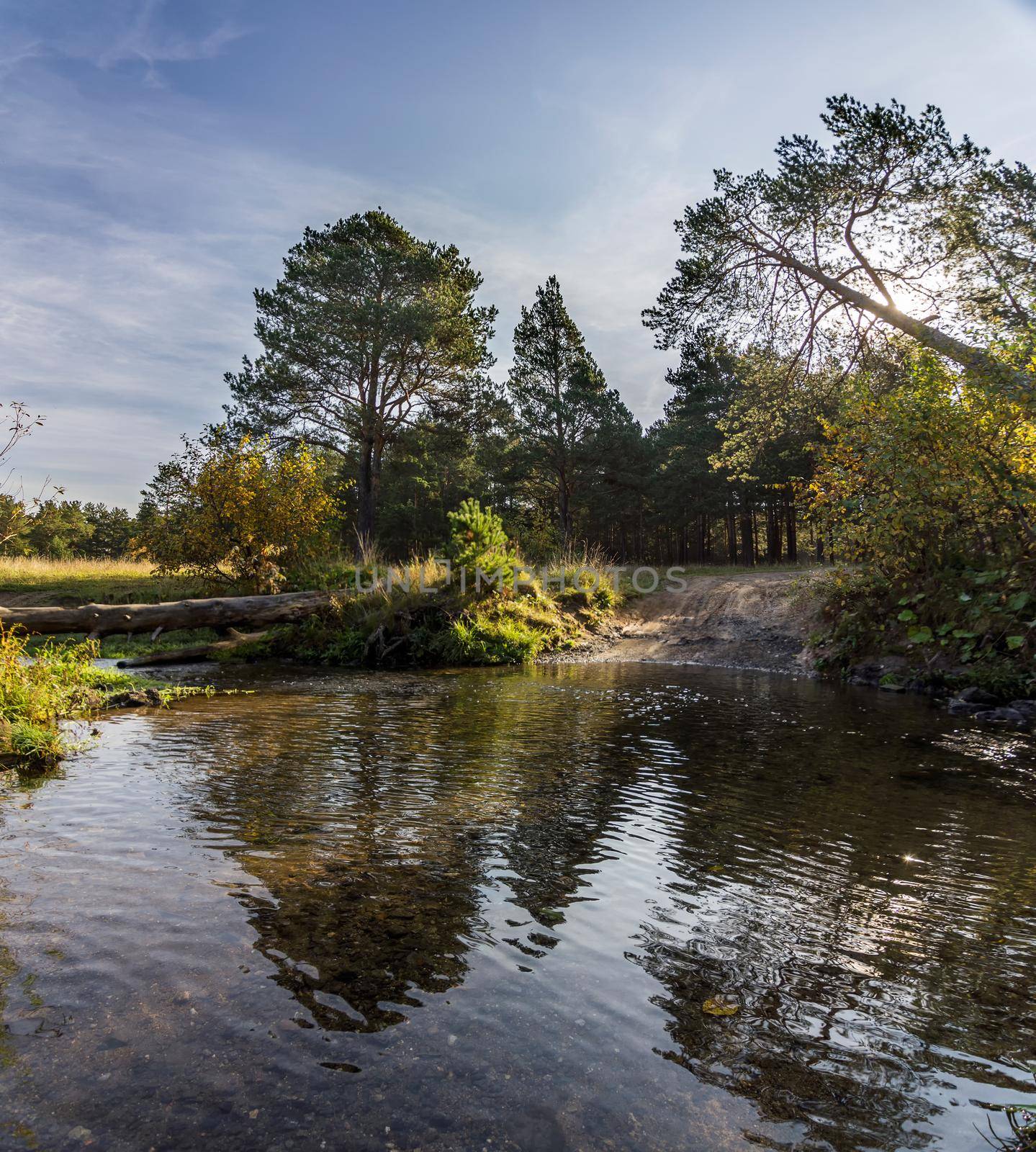 Lakes in autumn forest. Forest autumn landscape, beautiful natur by DePo