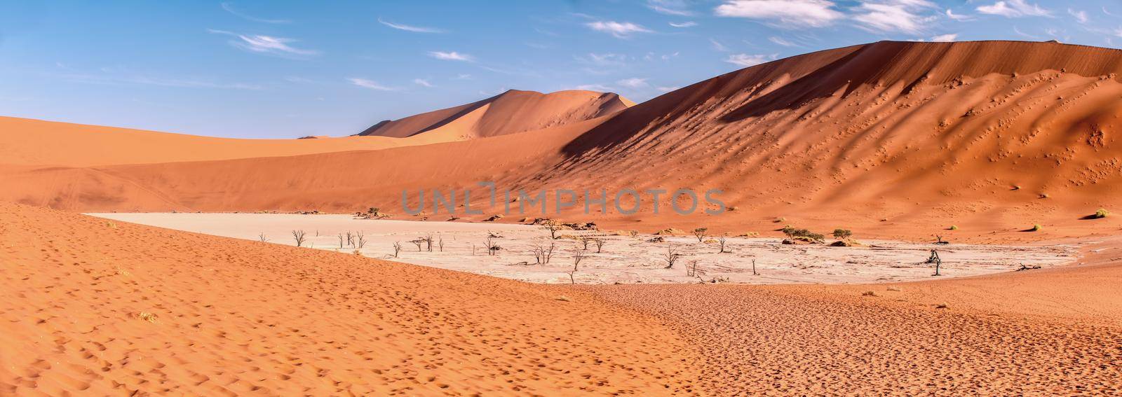 view of whole valley with dead acacia tree in hidden Dead Vlei landscape, Namib desert, Namibia arid landscape, Africa wilderness