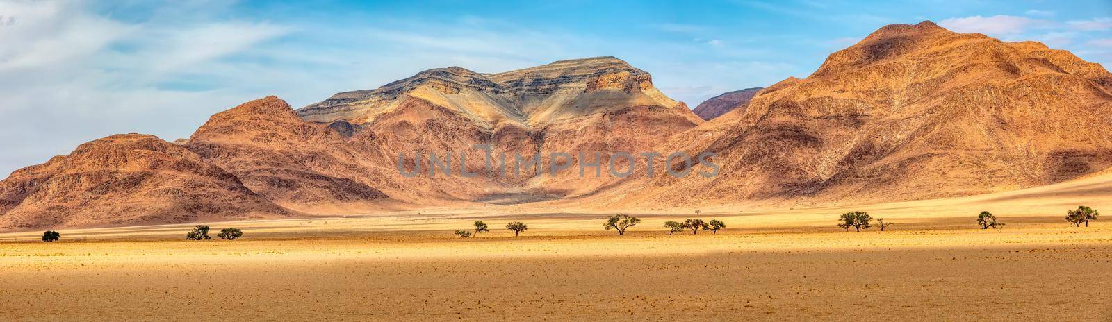 Namib desert, Namibia Africa landscape by artush