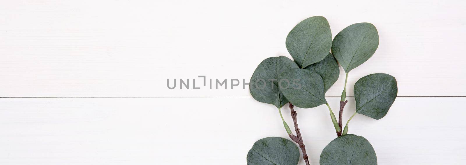 Leaf on wooden table, composition with top view, branch and leaves on wood desk with copy space, texture background, foliage tropical, nobody, flat lay, minimal concept, banner website.