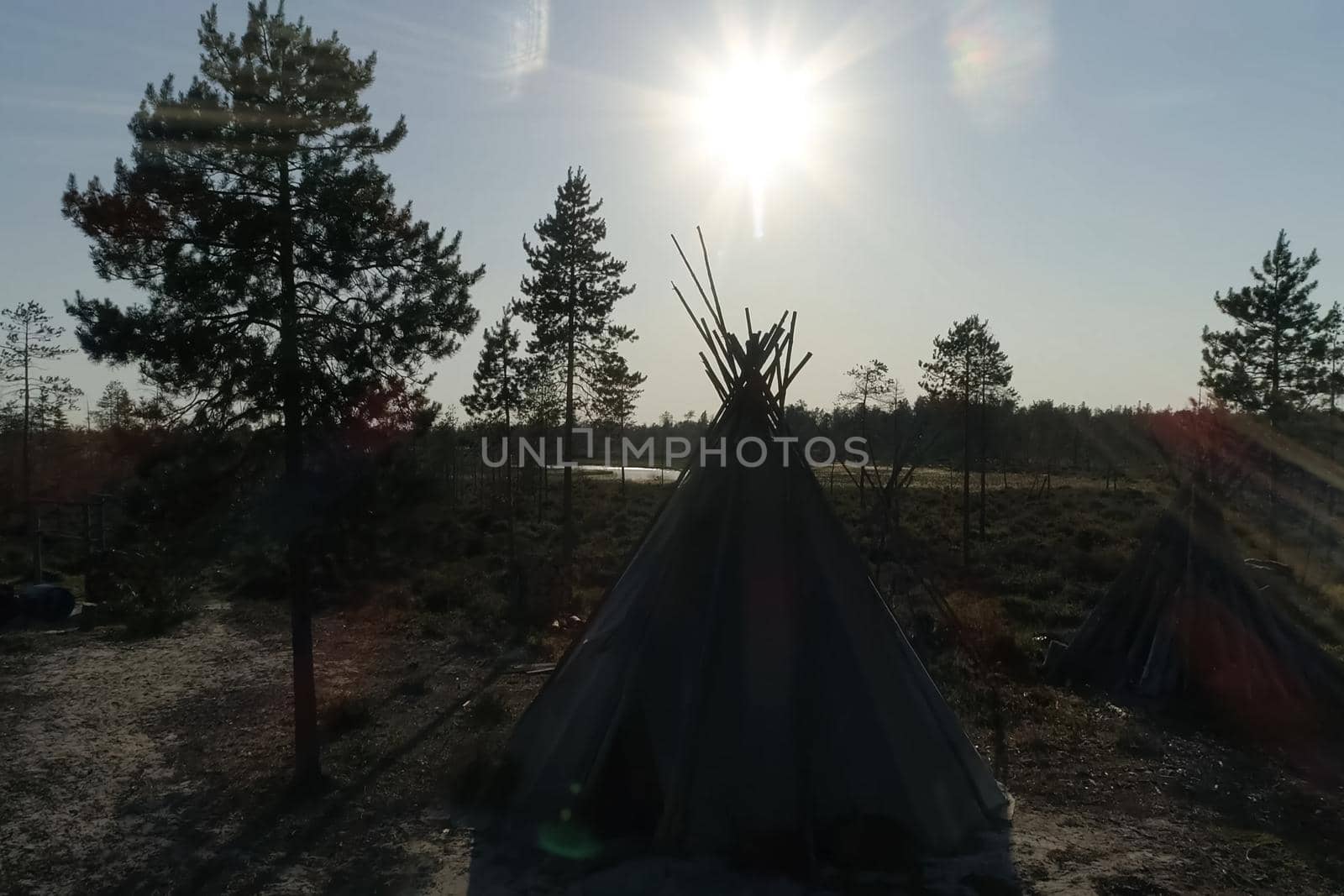 Yurt resident of forest tundra and tundra. Yurt against the background of the forest and sunset. by DePo