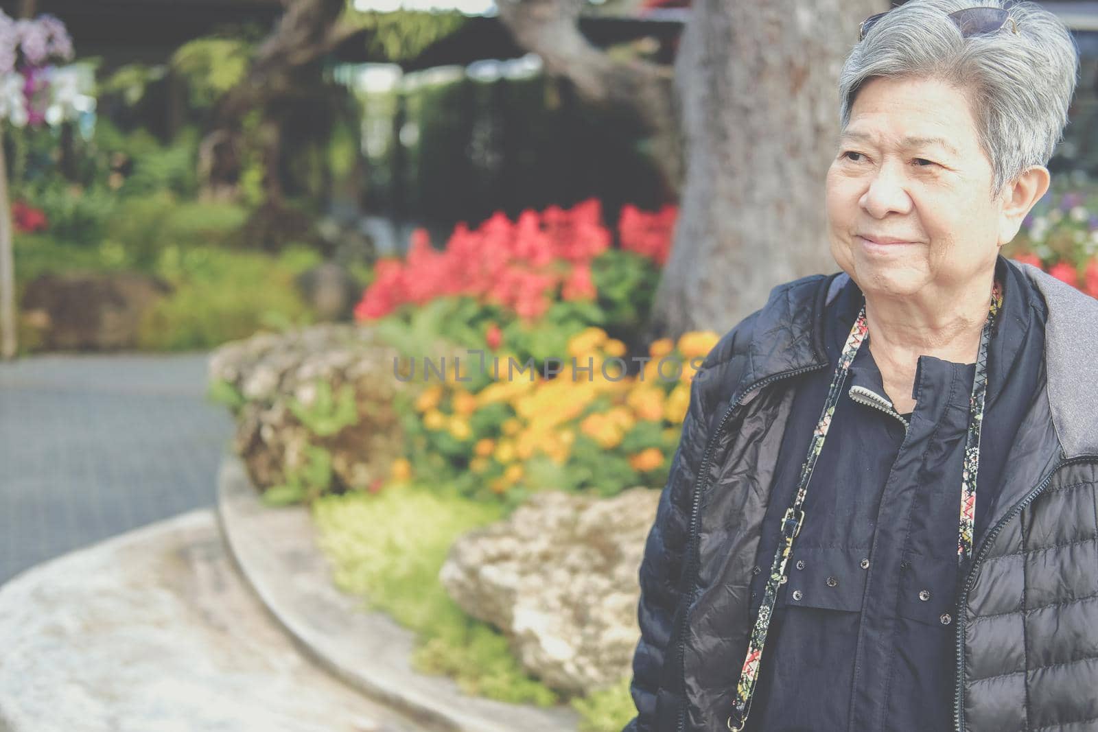 asian old elderly female elder woman resting relaxing in garden. senior leisure lifestyle