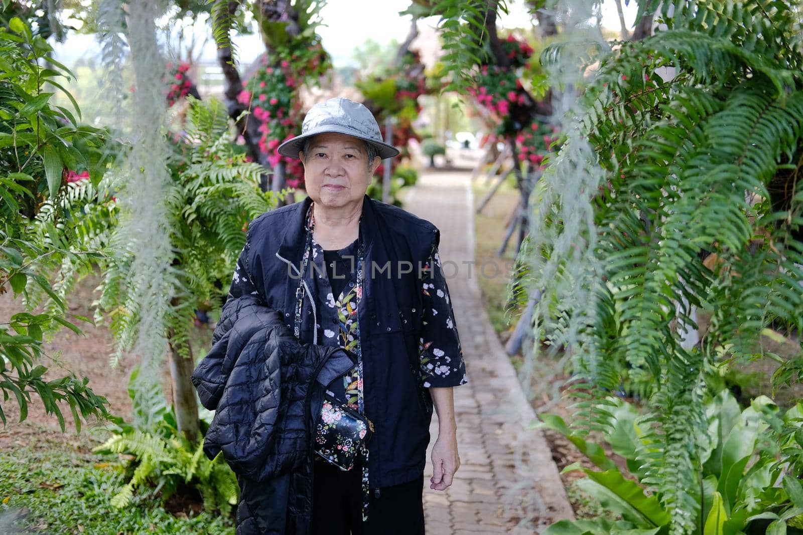 asian old elderly female elder woman resting relaxing in garden. senior leisure lifestyle