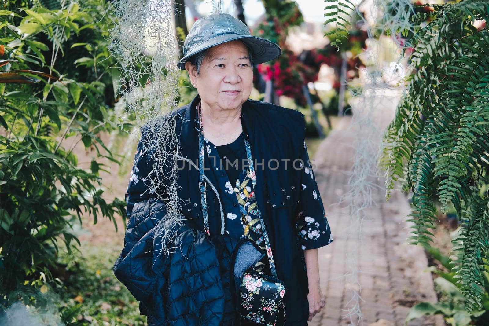 asian old elderly female elder woman resting relaxing in garden. senior leisure lifestyle