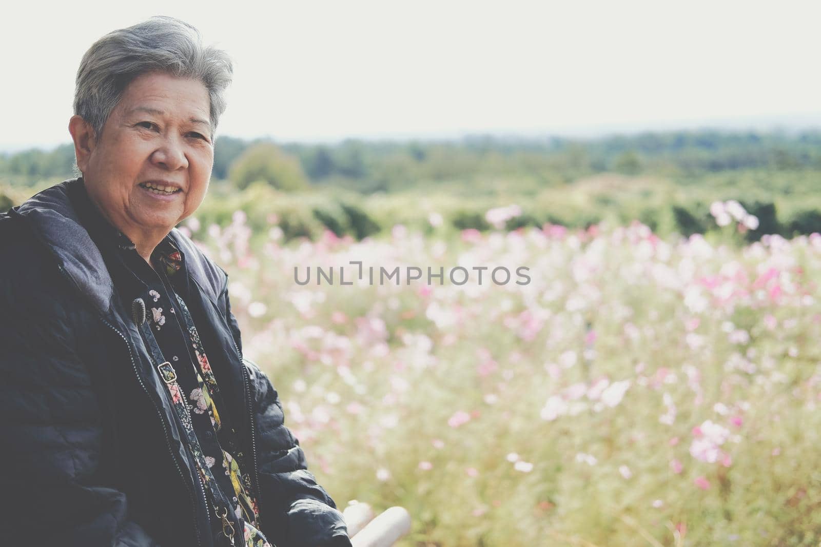 asian old elderly female elder woman resting relaxing in garden. senior leisure lifestyle