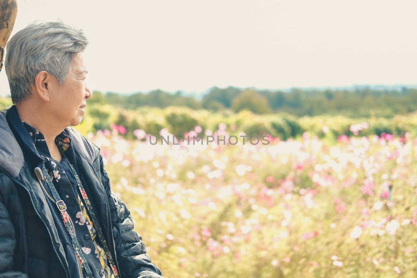 asian old elderly female elder woman resting relaxing in garden. senior leisure lifestyle