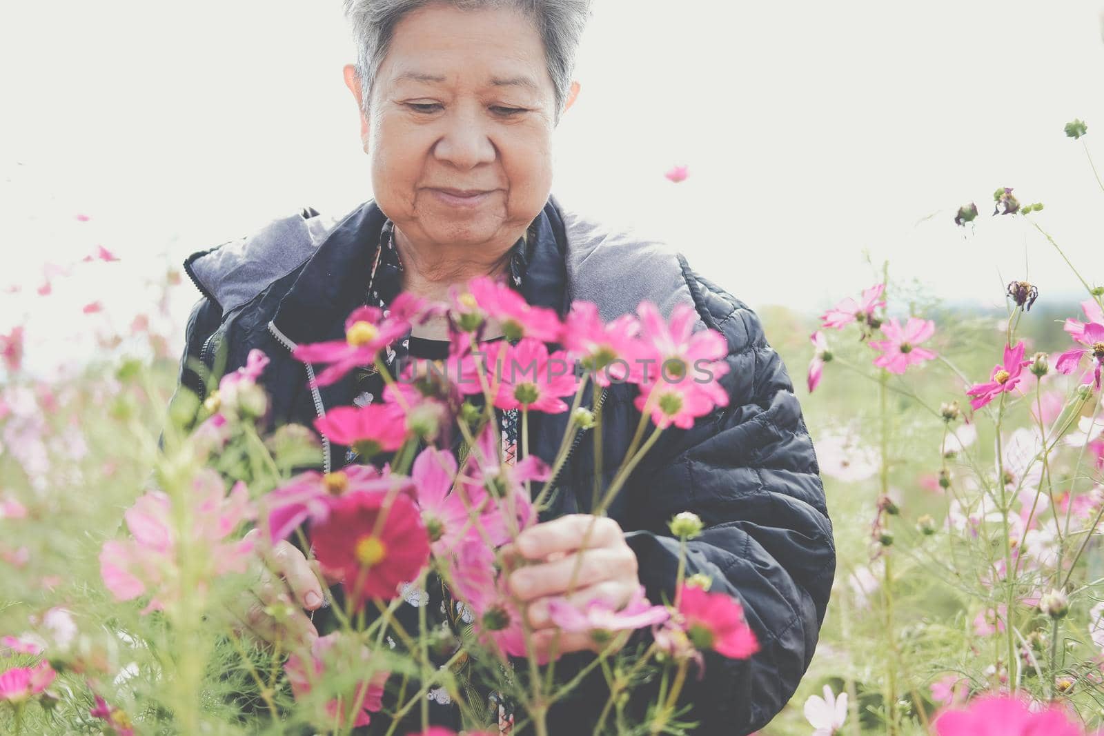 asian old elderly female elder woman resting relaxing in garden. senior leisure lifestyle