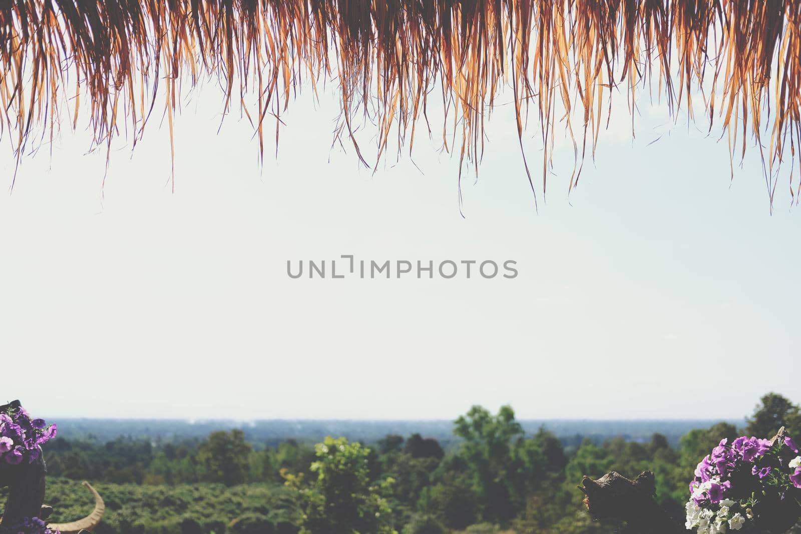 thatched roof made from straw and hay with nature view