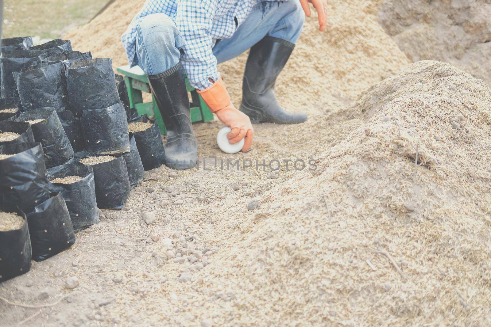 substrate materials for growing plant. soil and fertilizer in planting bag for transplanting seedling in farm