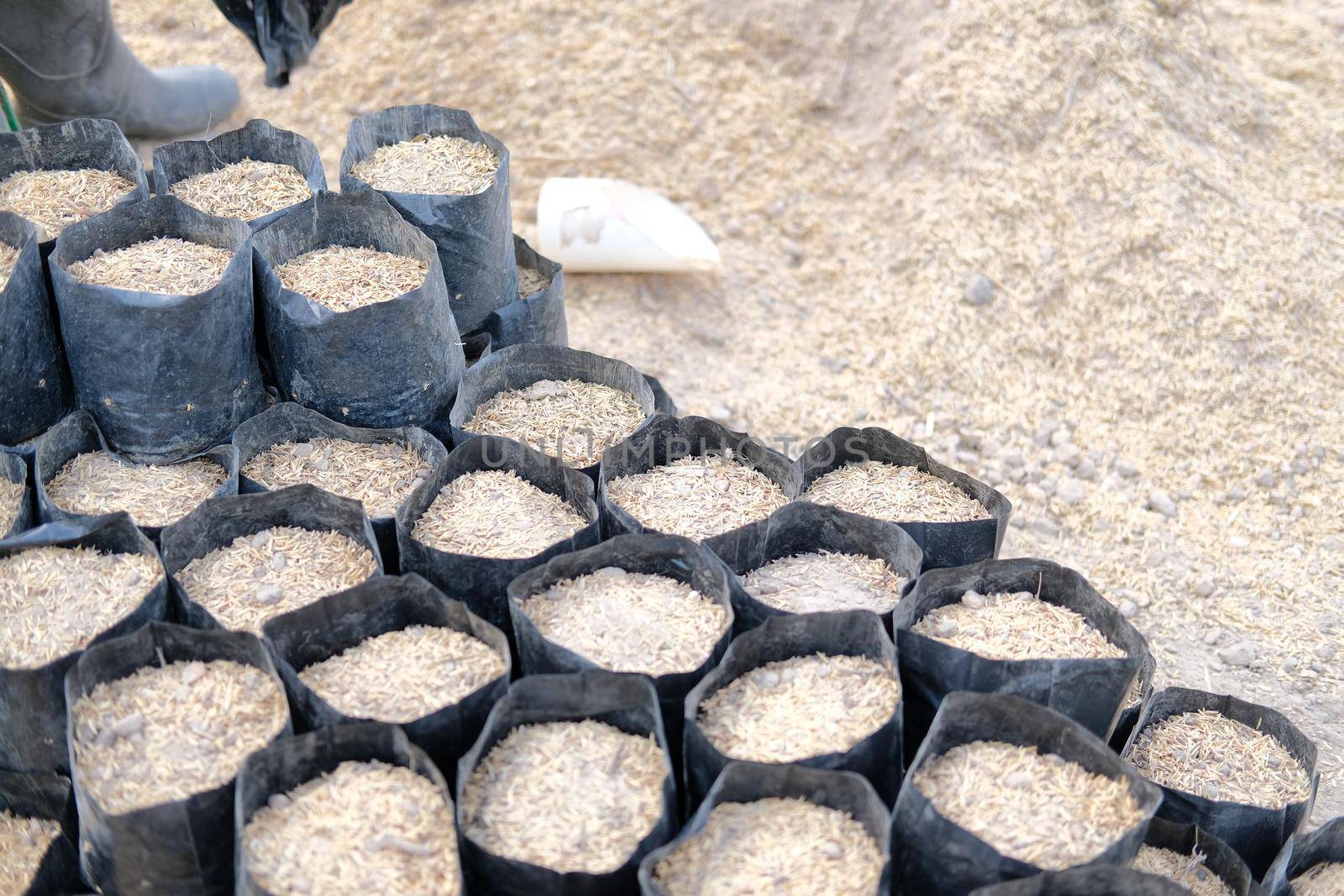 substrate materials for growing plant. soil and fertilizer in planting bag for transplanting seedling in farm