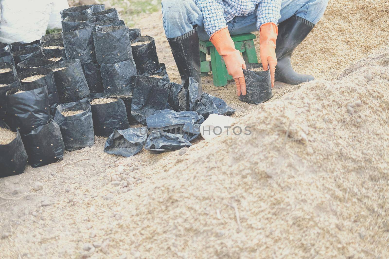 substrate materials for growing plant. soil and fertilizer in planting bag for transplanting seedling in farm