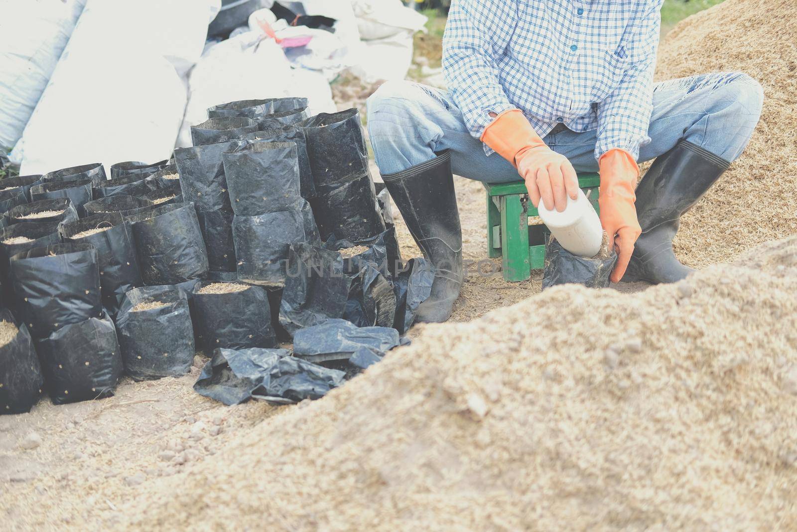 substrate materials for growing plant. soil and fertilizer in planting bag for transplanting seedling in farm