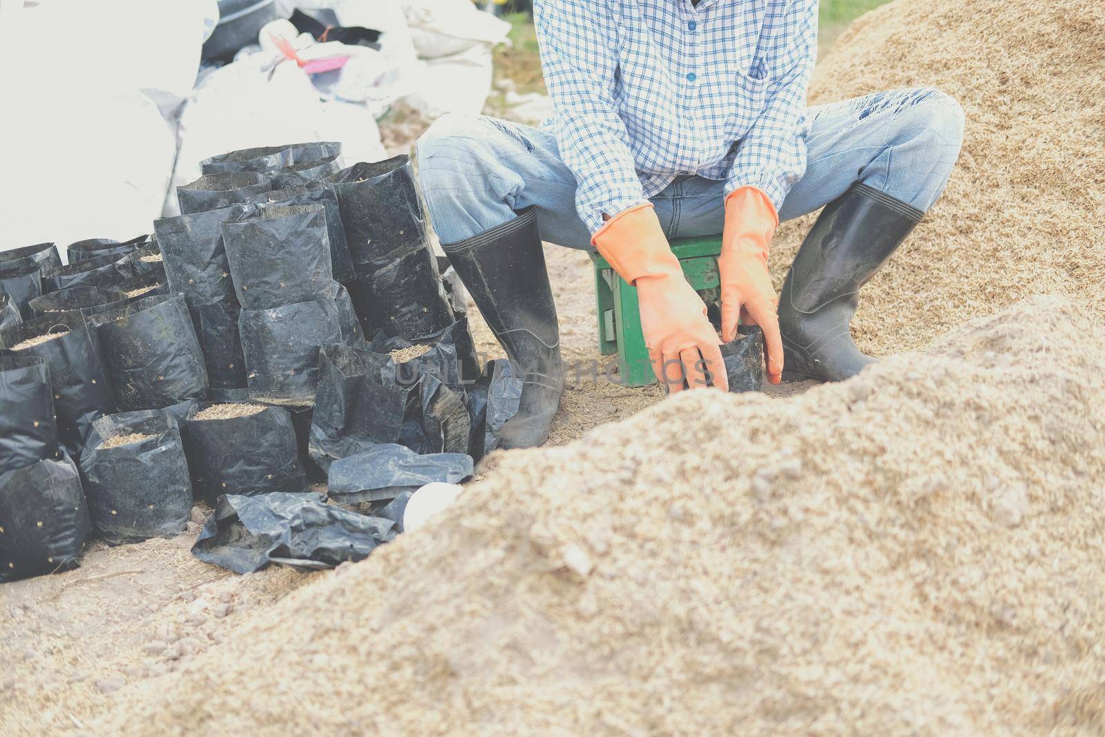 substrate materials for growing plant. soil and fertilizer in planting bag for transplanting seedling in farm