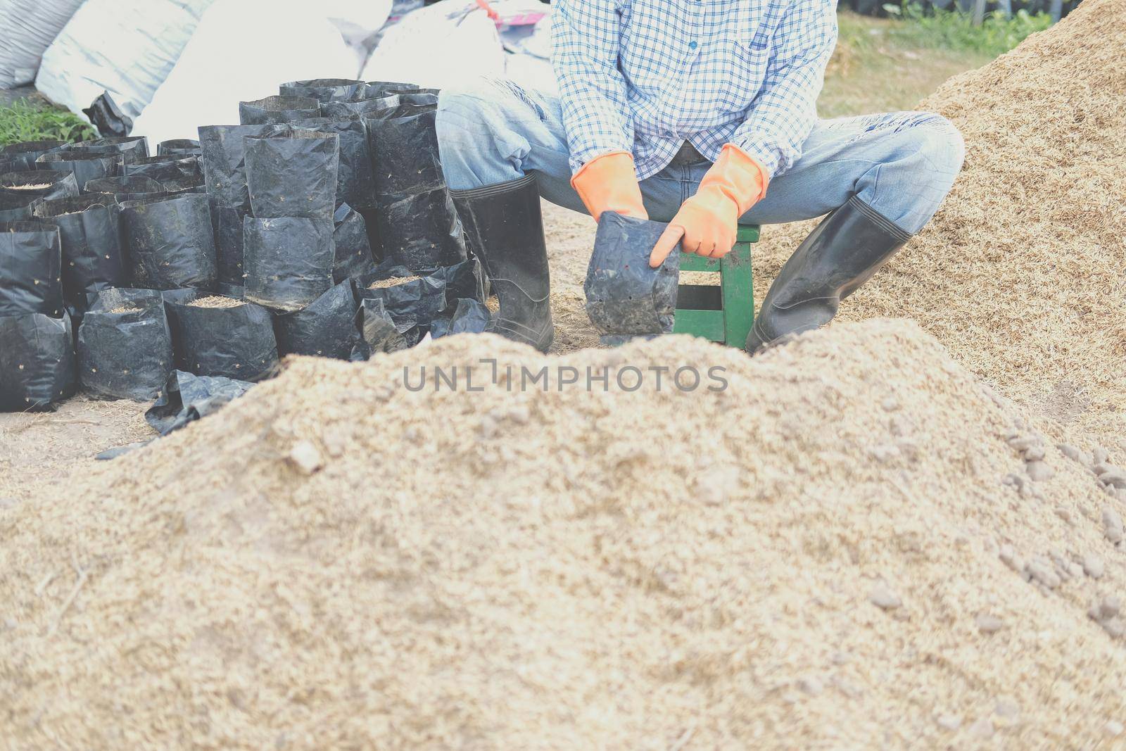 substrate materials for growing plant. soil and fertilizer in planting bag for transplanting seedling in farm