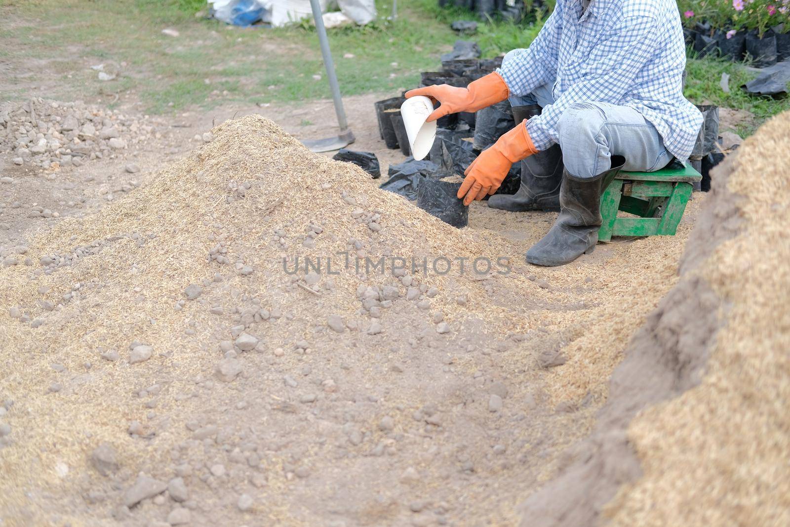 farmer pouring substrate materials for growing plant. soil fertilizer in planting bag for transplanting seedling in farm