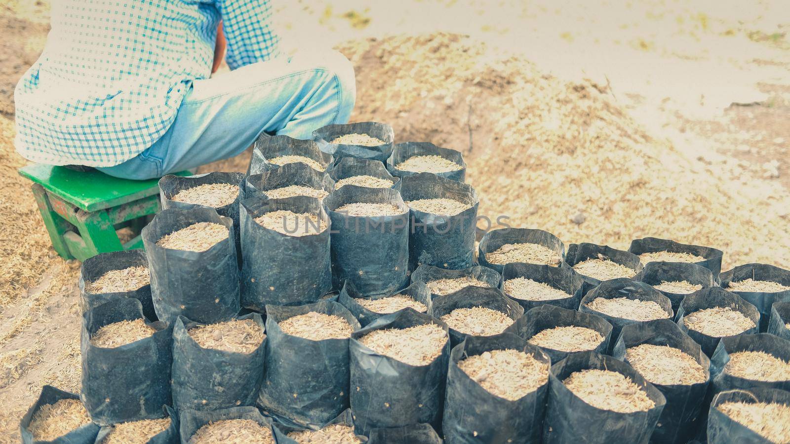 substrate materials for growing plant. soil and fertilizer in planting bag for transplanting seedling in farm