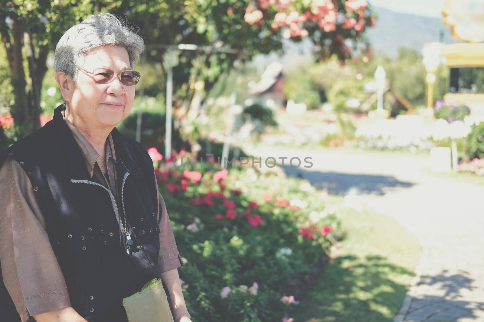 asian old elderly female elder woman resting relaxing in garden. senior leisure lifestyle