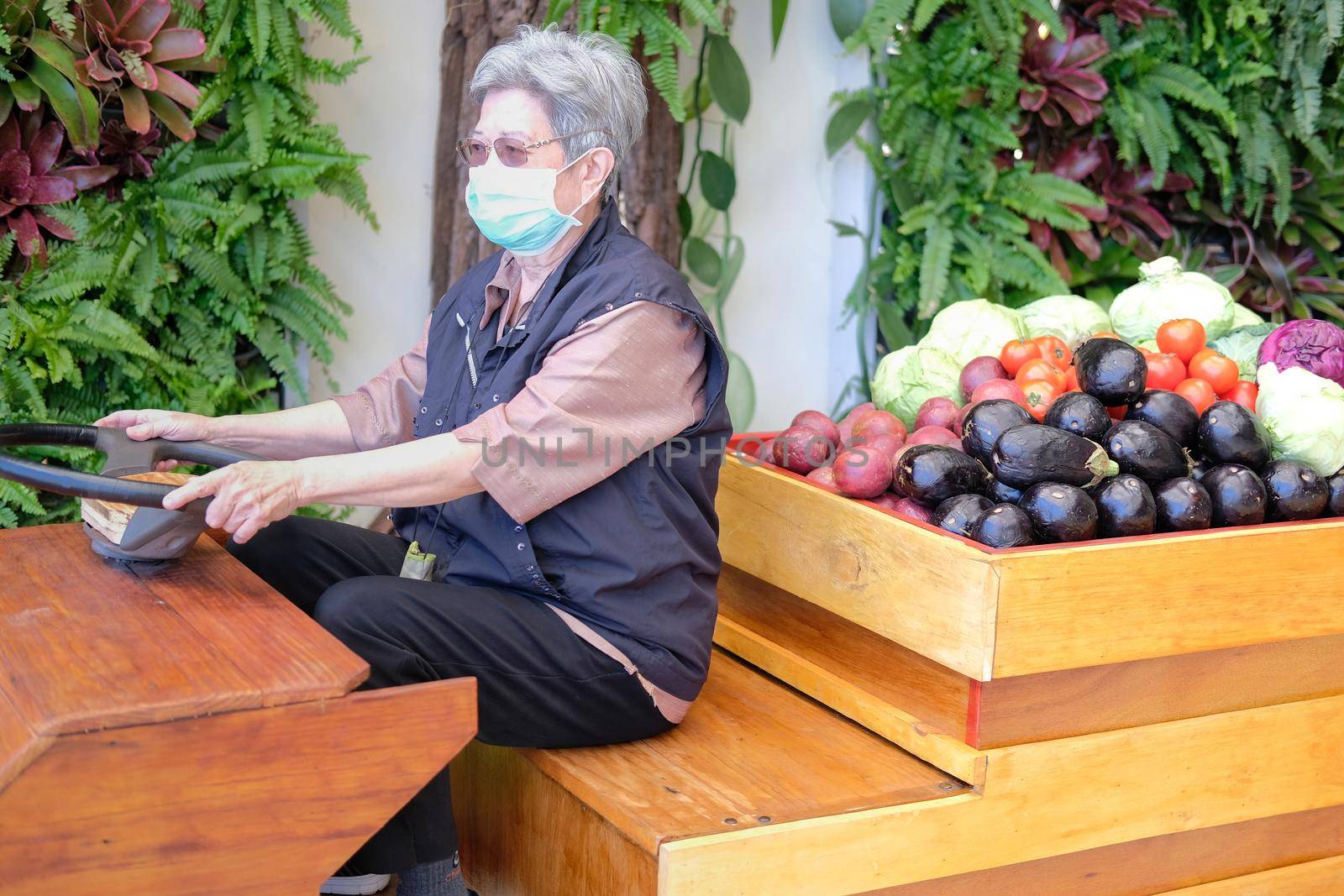 asian old elderly elder woman female with fruit vegetables in wooden cart wagon from farm