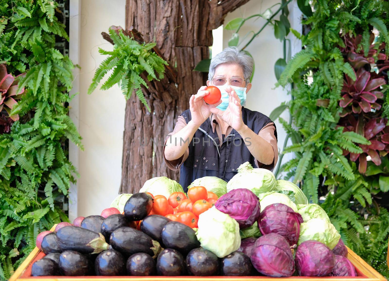 asian old elderly elder woman female with fruit vegetables in wooden cart wagon from farm