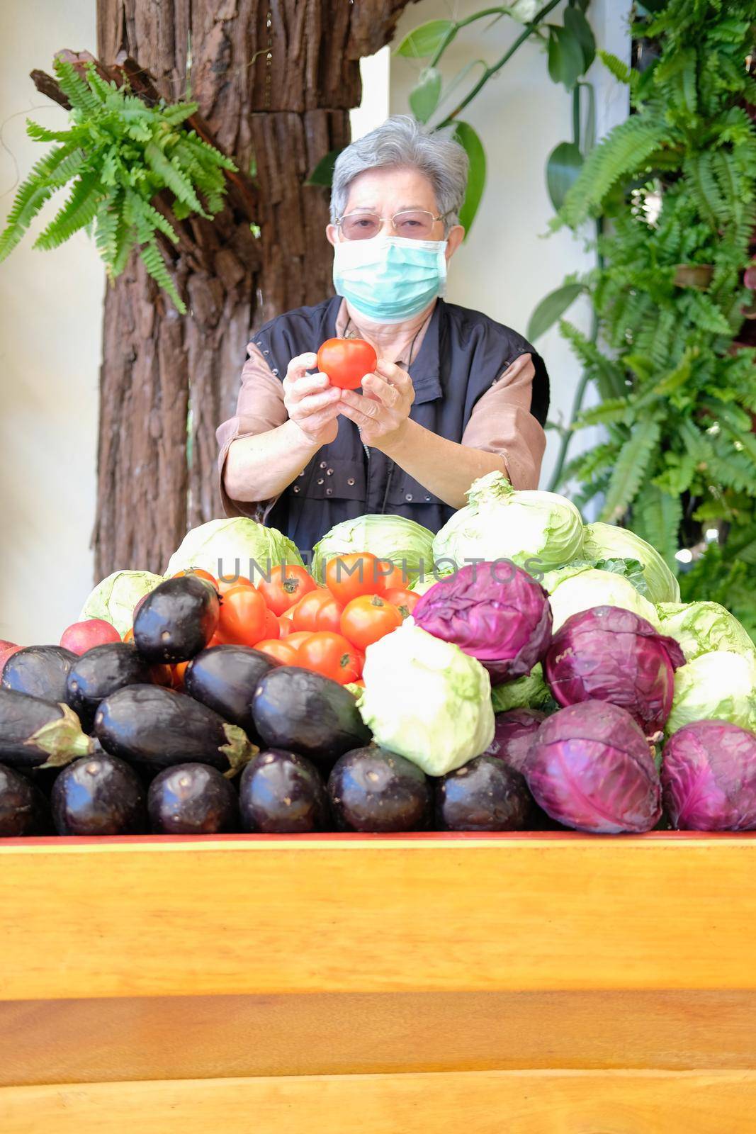 asian old elderly elder woman female with fruit vegetables in wooden cart wagon from farm